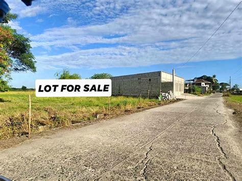 zip code of paniqui tarlac|Lot For Sale in Paniqui, Tarlac .